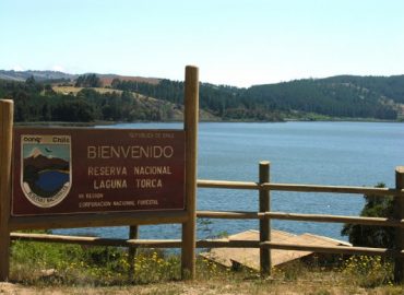 Reserva Nacional Laguna Torca
